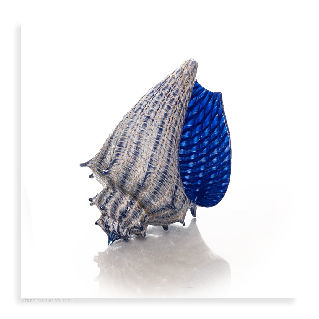 Optical Shells: Dark Blue - Pueo Gallery