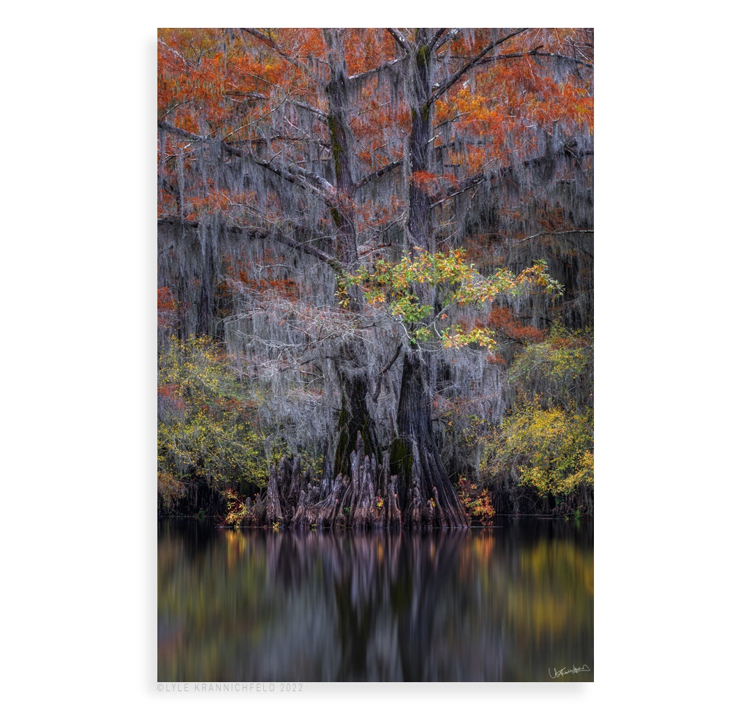Fall Reflections - Pueo Gallery