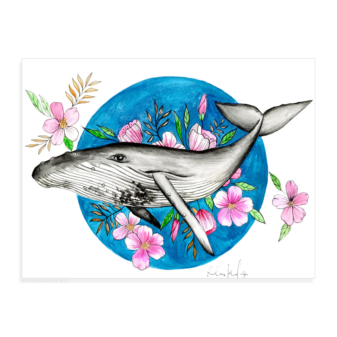 Humpback and Cherry blossoms - Pueo Gallery