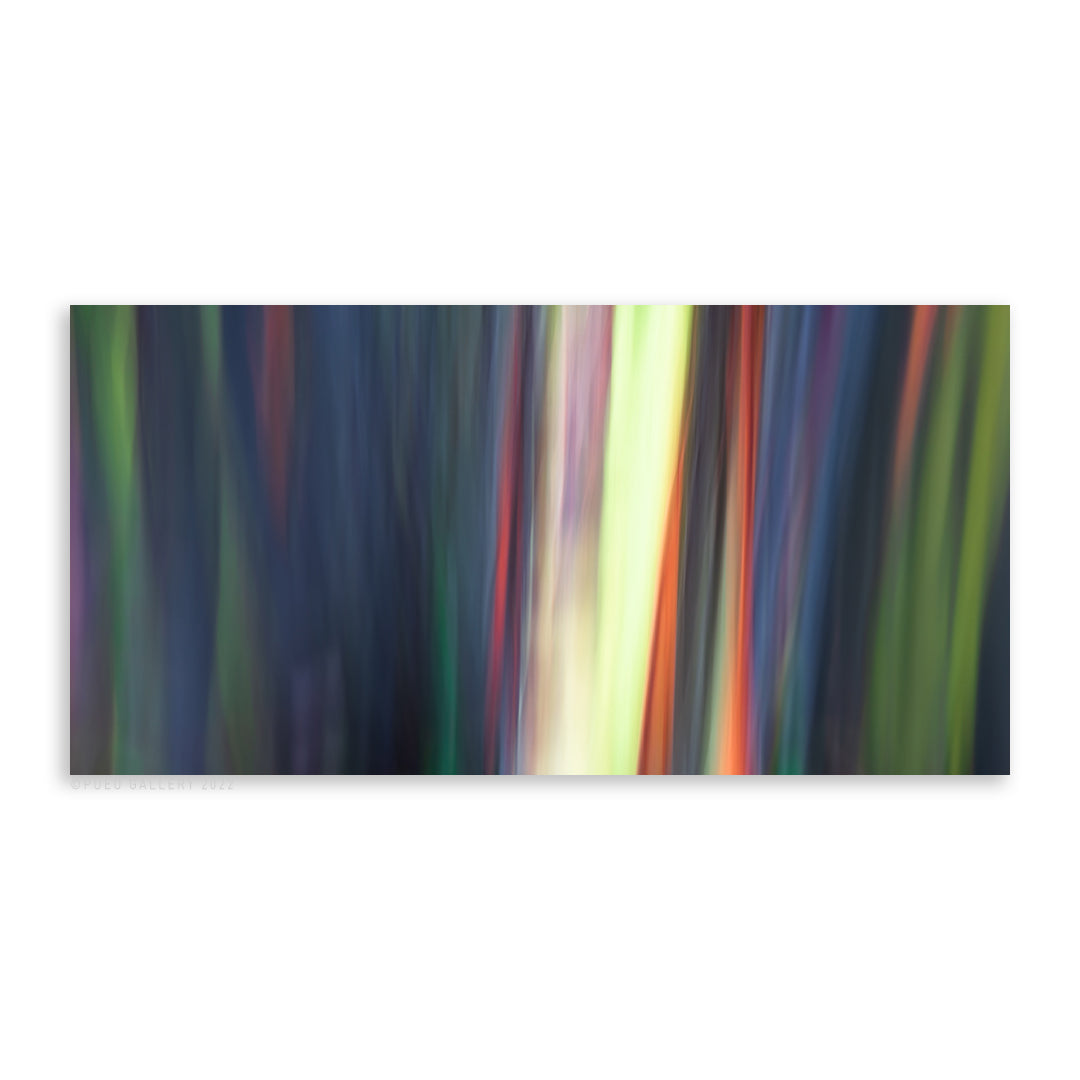 Rainbow Eucalyptus 11 - Pueo Gallery