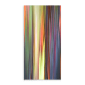 Rainbow Eucalyptus 14 - Pueo Gallery