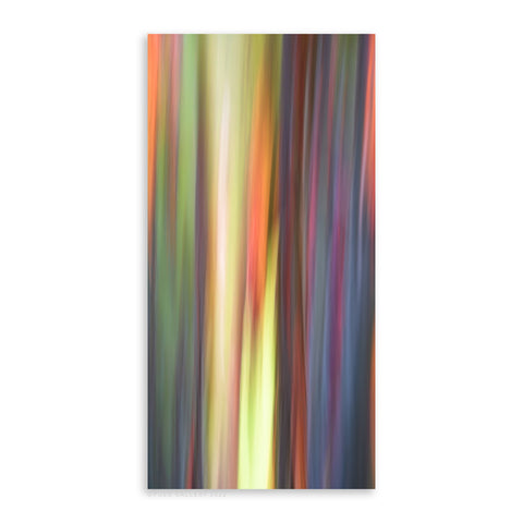Rainbow Eucalyptus 14 - Pueo Gallery