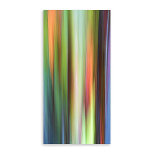 Rainbow Eucalyptus 16 - Pueo Gallery