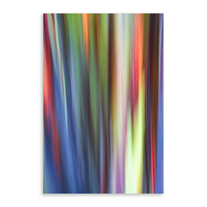 Rainbow Eucalyptus 17 - Pueo Gallery
