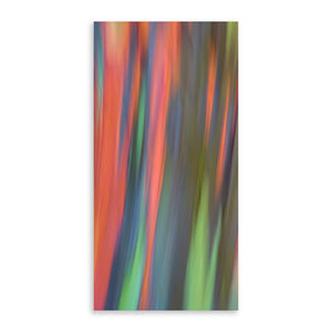 Rainbow Eucalyptus 4 - Pueo Gallery