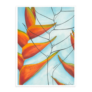 Red Heliconia - Pueo Gallery