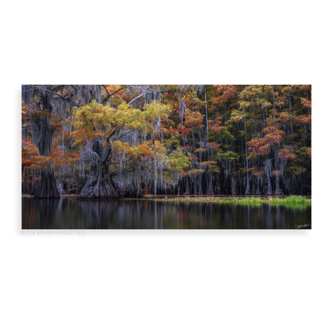 Serenity on the Bayou - Pueo Gallery