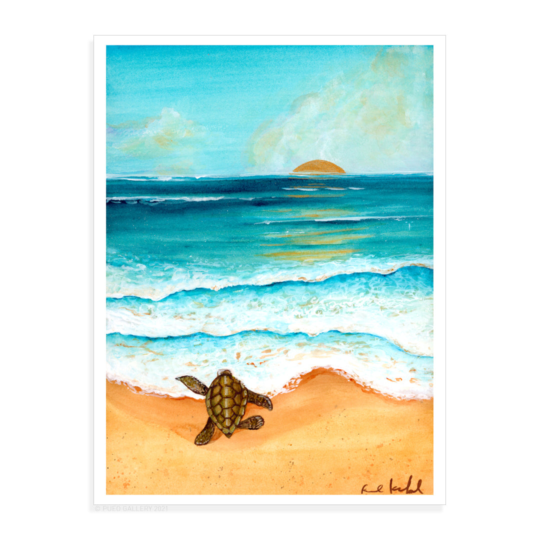 Baby Honu - Pueo Gallery