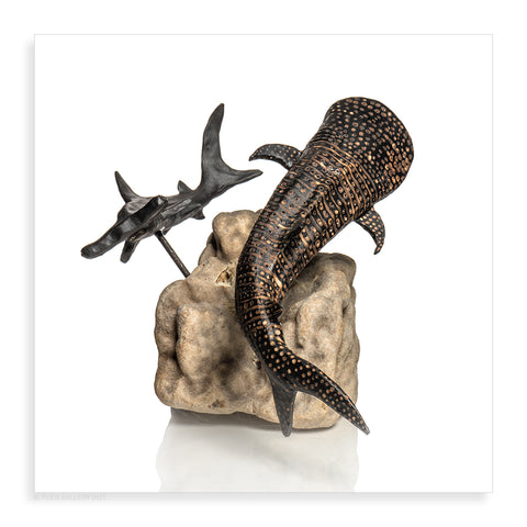 Shark Sculpture - Pueo Gallery