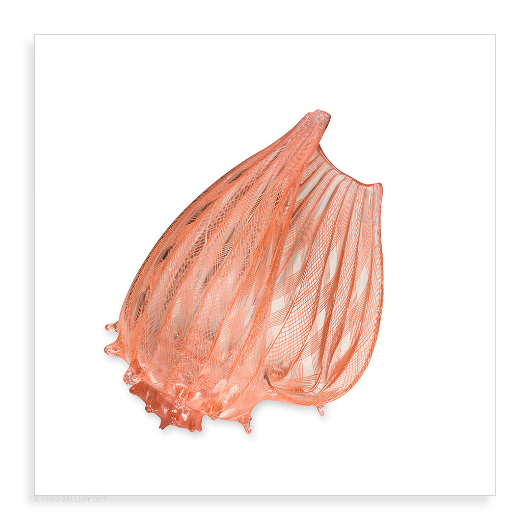 Medium Latticino Cane Shell: Apricot - Pueo Gallery
