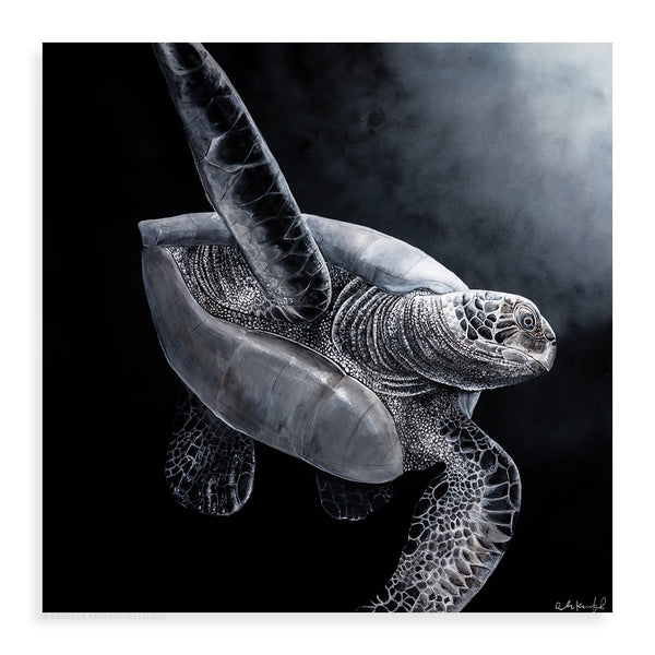 Black and White Honu - Pueo Gallery