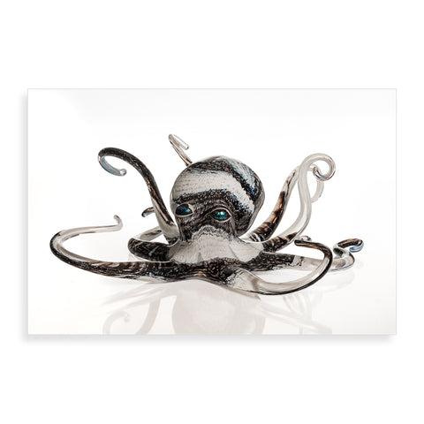 Black and White Octopus - Pueo Gallery