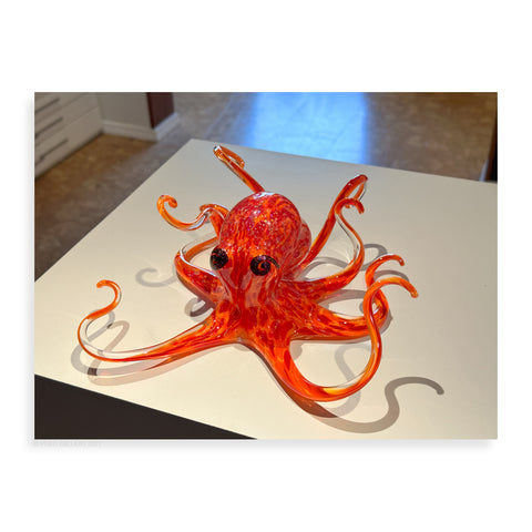 Geranium Octopus - Pueo Gallery