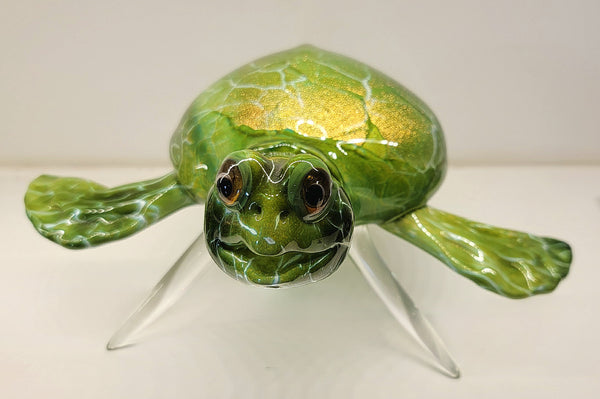 Turtle - Pueo Gallery