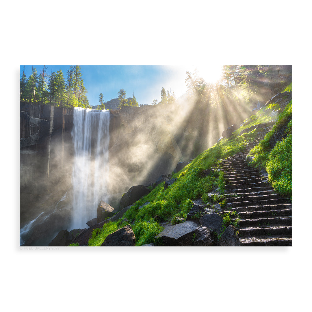 Mist Trail Mornings - Pueo Gallery