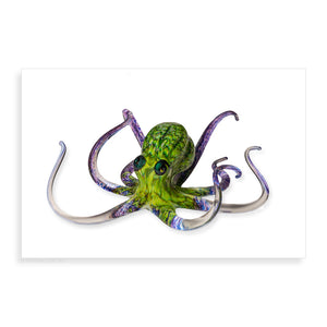 Green Violet Octopus - Pueo Gallery