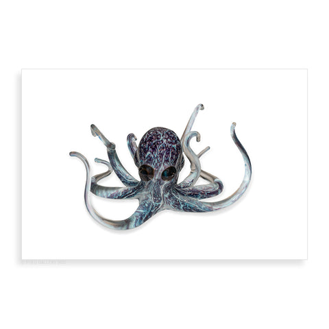 Purple Crackle Octopus - Pueo Gallery