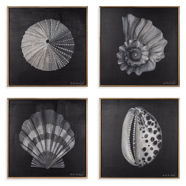 Shell Collection 1 - Pueo Gallery
