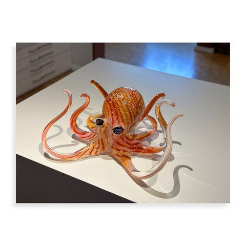 Peach Octopus - Pueo Gallery