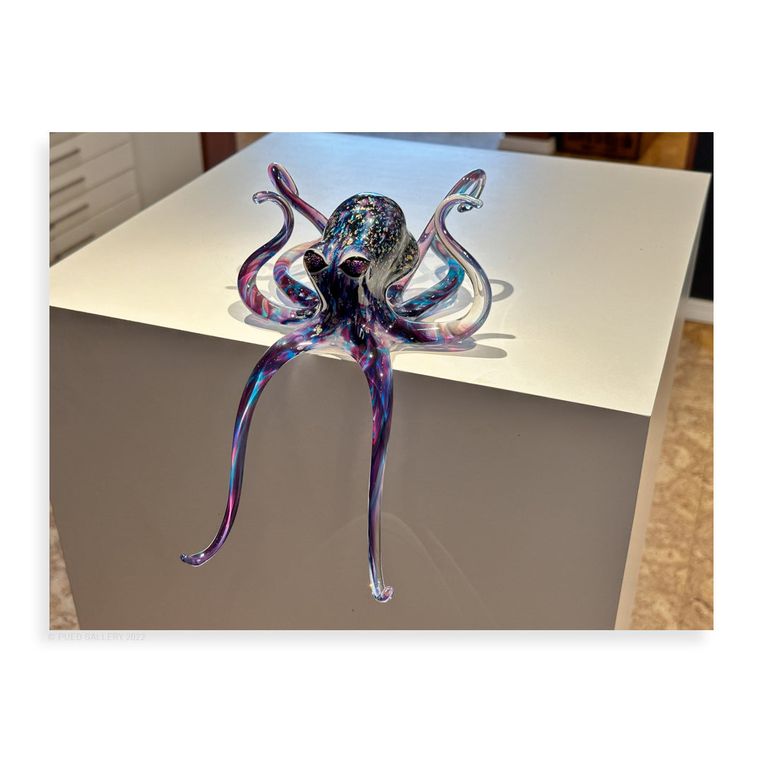 Twilight Octopus - Pueo Gallery
