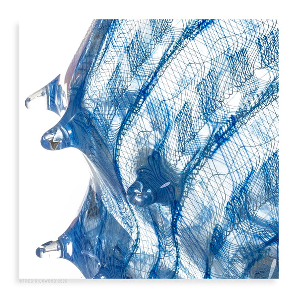 Extra Large Latticino Cane Shell: Light Blue - Pueo Gallery
