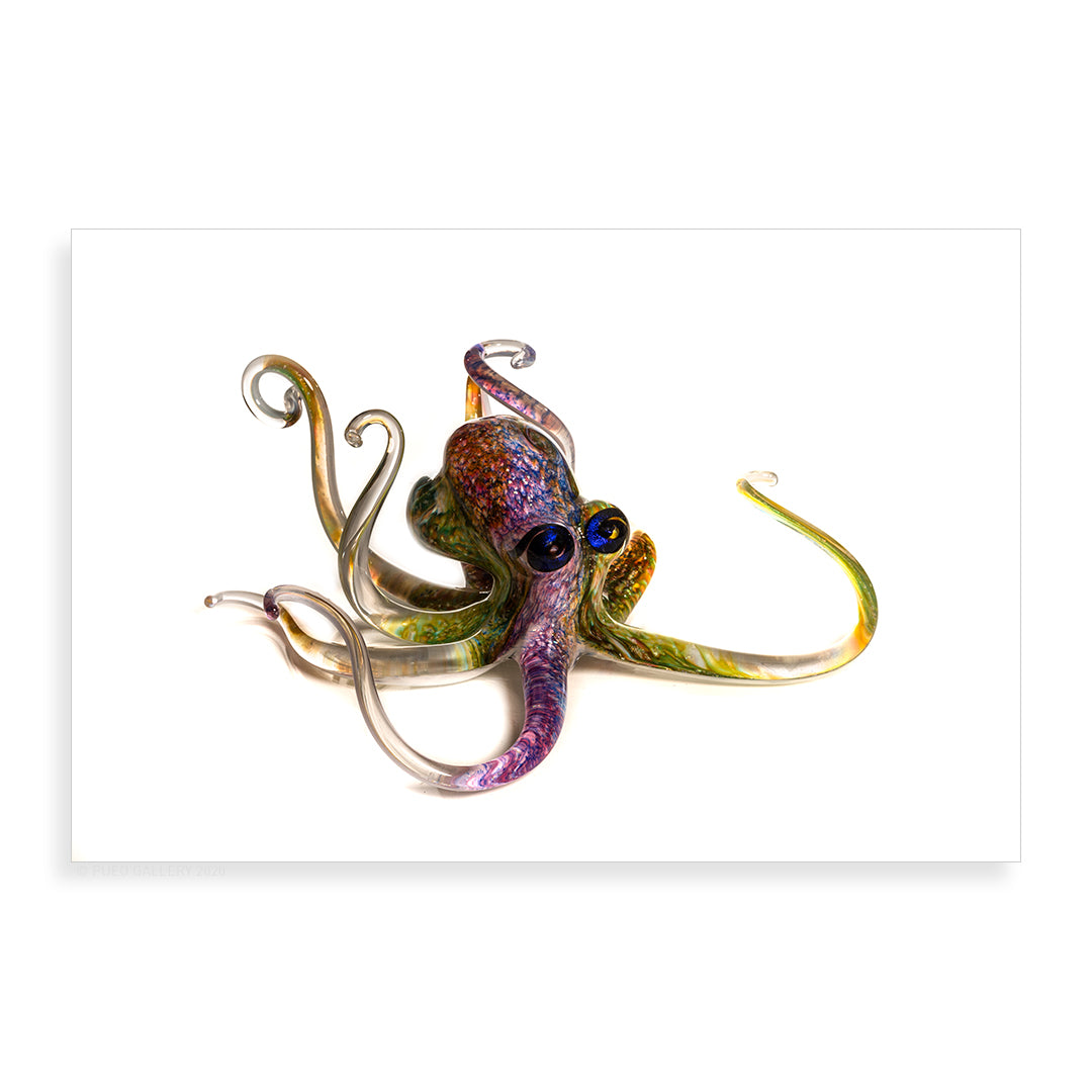 Multi-Colored Octopus - Pueo Gallery