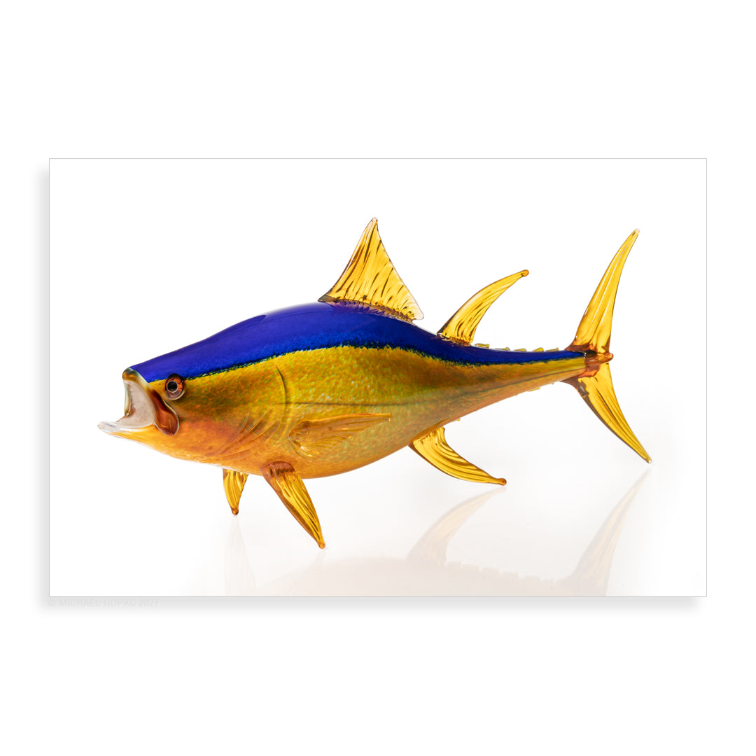 Yellowfin Tuna - Pueo Gallery